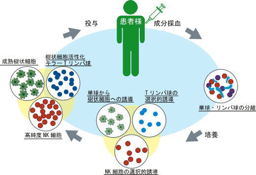 複合免疫細胞療法